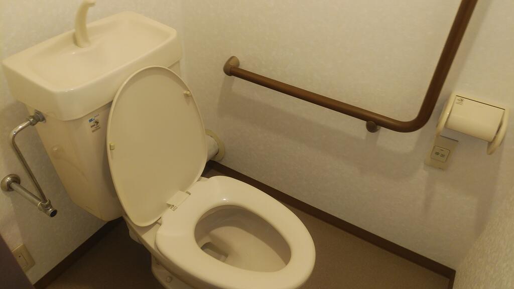 都営大江戸線 光が丘駅 徒歩9分 8階建 築28年のトイレ写真