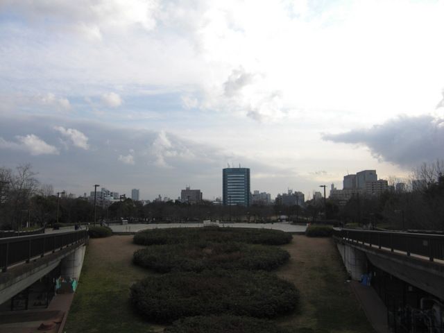 公園　木場公園（公園）まで1100m