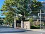 中学校　国立お茶の水女子大学附属中学校（中学校）まで276m