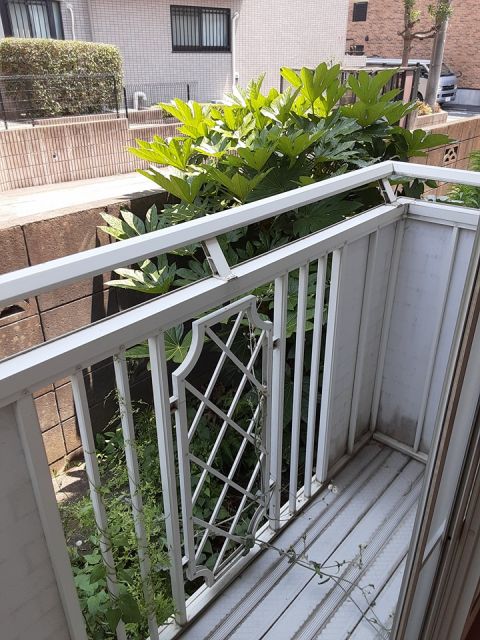 バルコニー