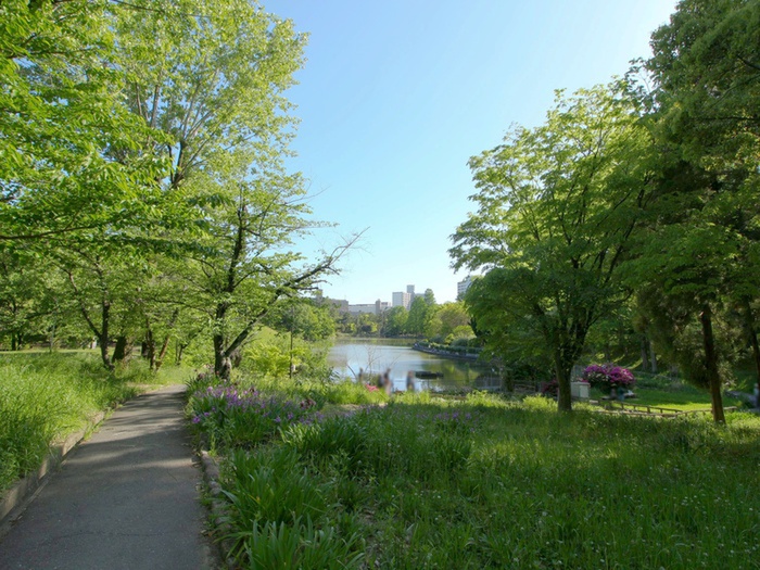 公園　千里南公園（公園）まで515m