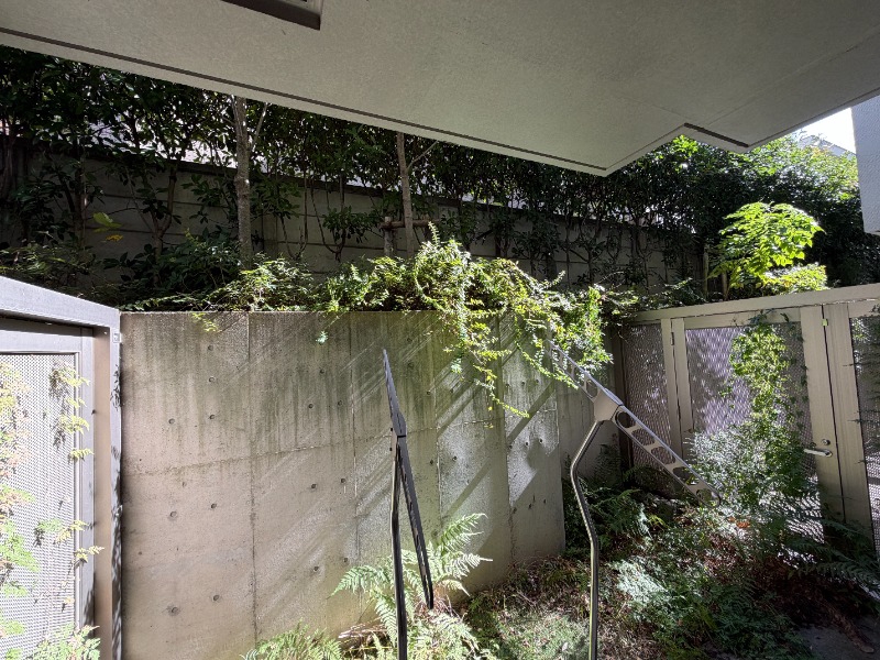 庭