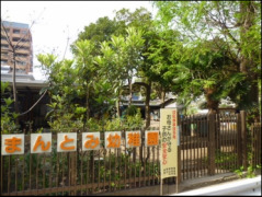 幼稚園・保育園　まんとみ幼稚園（幼稚園・保育園）まで1022m