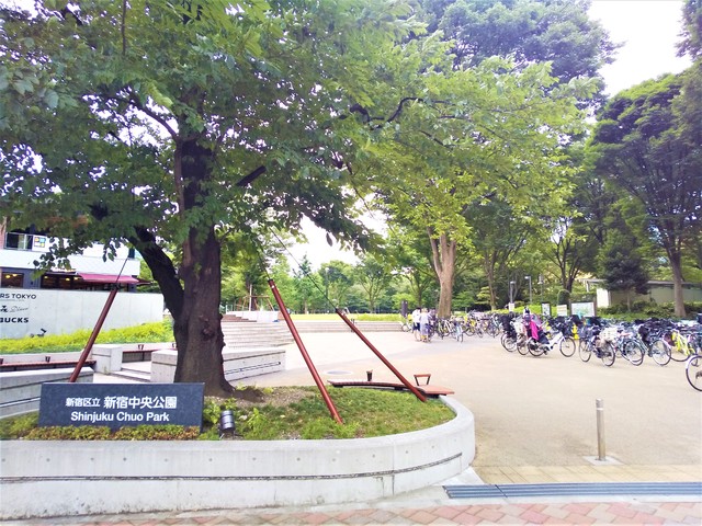 公園　新宿区立　新宿中央公園（公園）まで260m