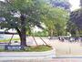 公園　新宿区立　新宿中央公園（公園）まで260m