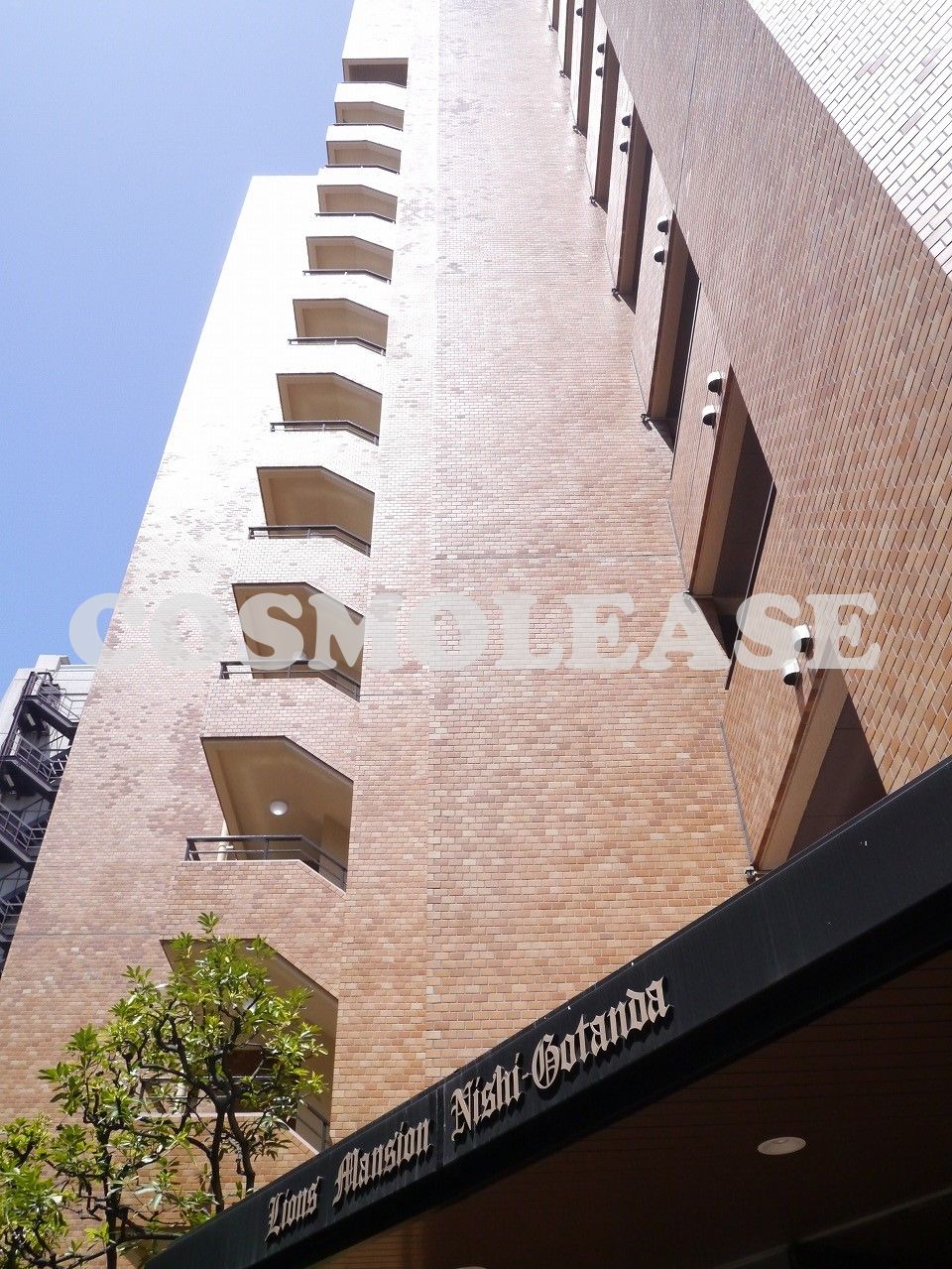 建物外観　駐輪　近隣スペース相談可