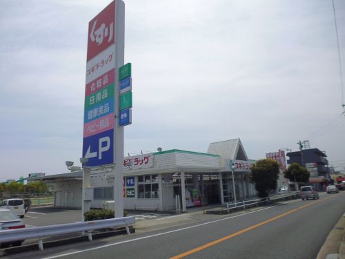 ドラックストア　スギ薬局玉津店（ドラッグストア）まで497m