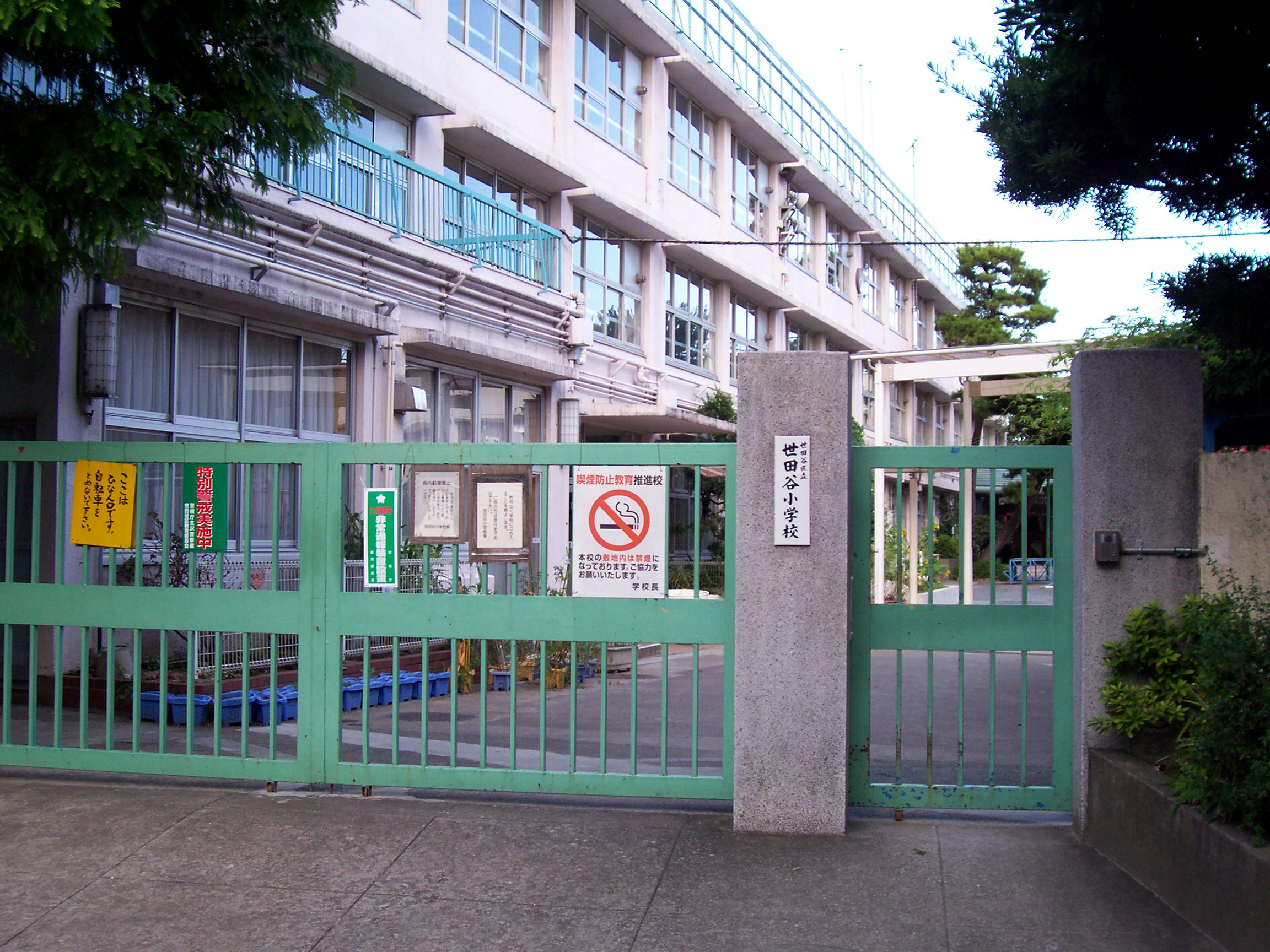 中学校　世田谷区立桜木中学校（中学校）まで509m