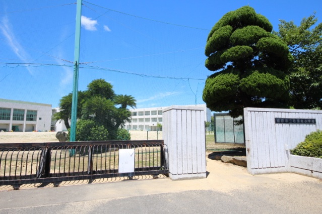 【橿原市西池尻町のマンションの小学校】