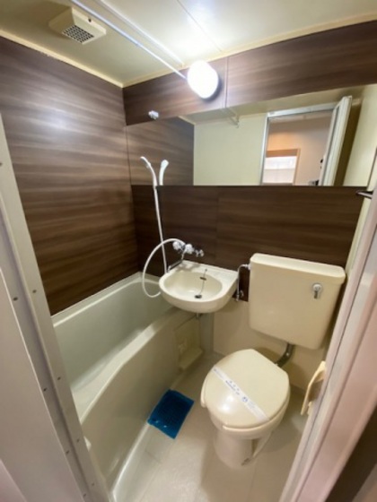 バス・シャワールーム　※別部屋の写真です