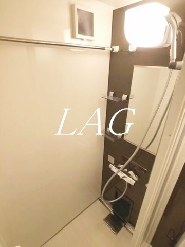 バス・シャワールーム　シャワールームになります。