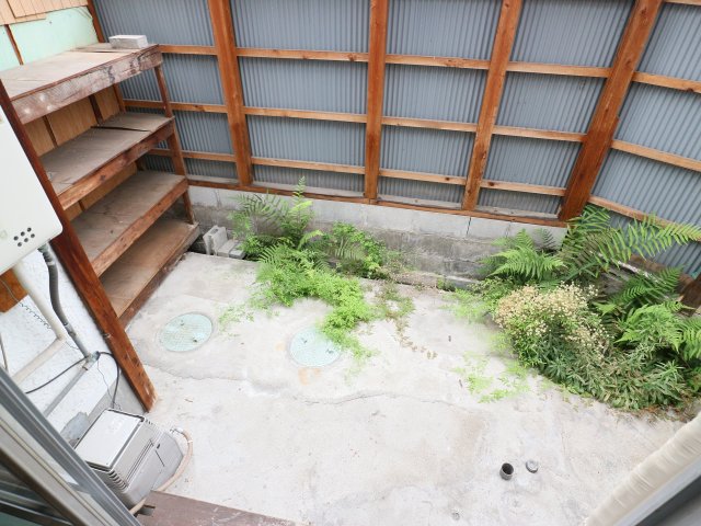 庭