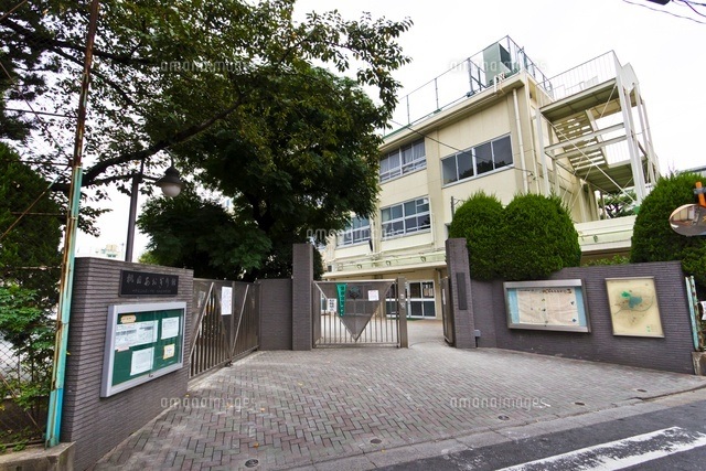 小学校　中野区立 桃園小学校（小学校）まで246m