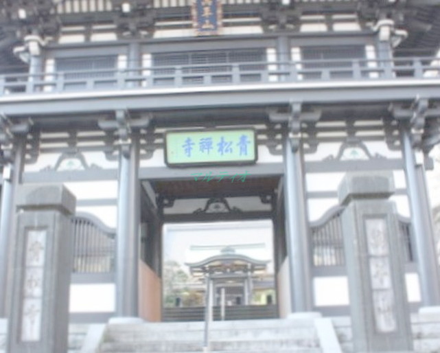 その他　青松寺（その他）まで525m