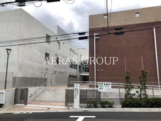 小学校　中野区立鷺の杜小学校（小学校）まで518m
