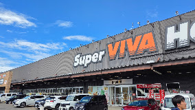 ホームセンター　スーパービバホーム手稲富丘店（ホームセンター）まで813m