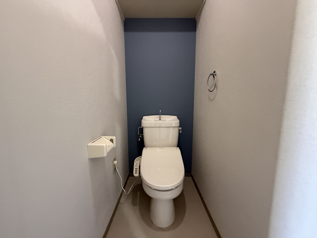 エクセレント松下A棟のトイレ写真