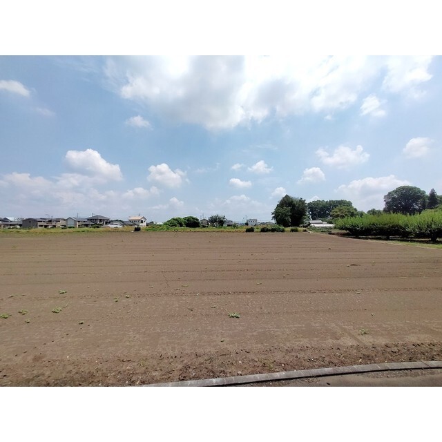 サンビレッヂ大宮B_その他_5