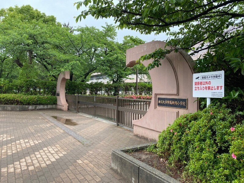 小学校　新潟大学付属新潟小学校（小学校）まで271m