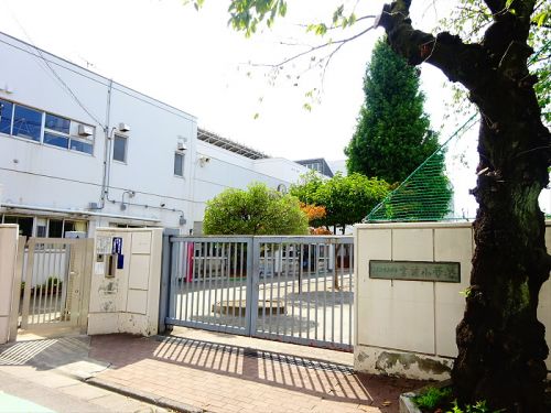 小学校　目黒区立宮前小学校（小学校）まで734m