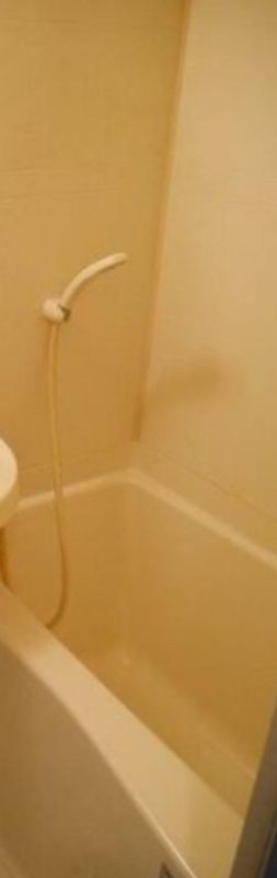 バス・シャワールーム　※同仕様写真含む