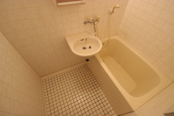 バス・シャワールーム　※写真は同建物別号室タイプです。