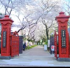 大学・短大　私立学習院女子大学（大学・短大）まで318m