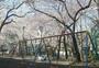 公園　清花公園（公園）まで538m