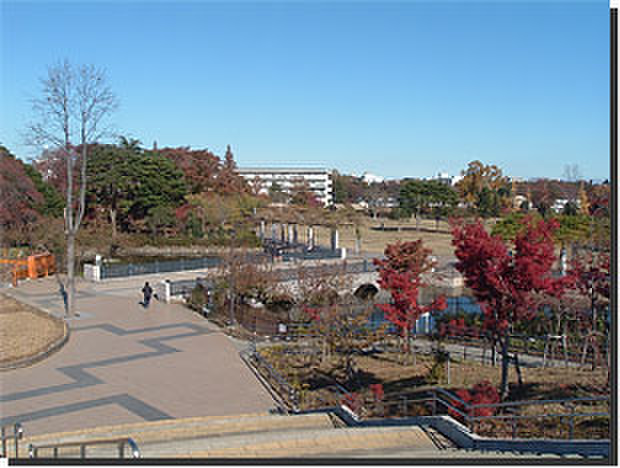 公園　都立武蔵国分寺公園（公園）まで350m