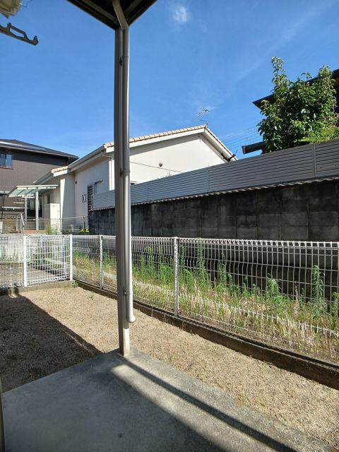 庭