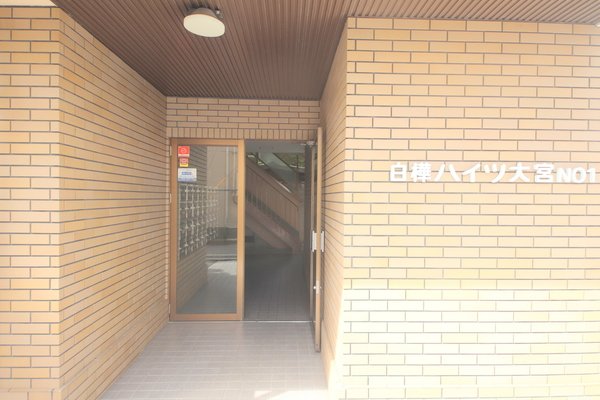 白樺ハイツ大宮Iの外観写真