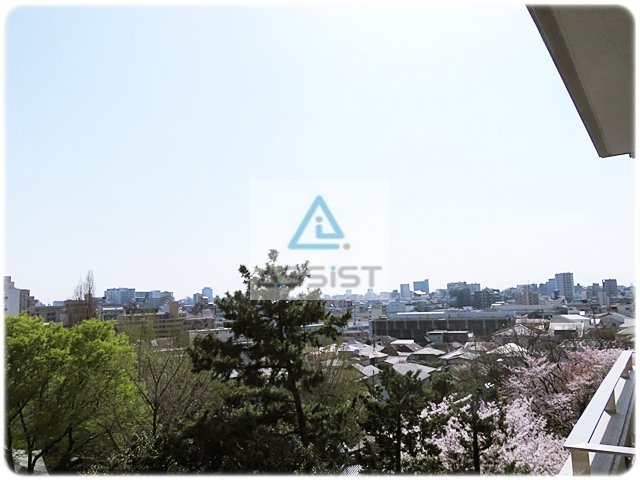 眺望　※他号室の参考写真です。
