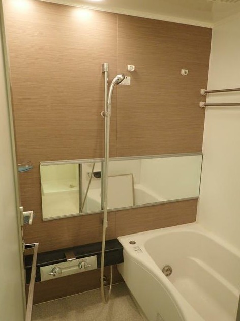Brillia武蔵小山idの風呂写真
