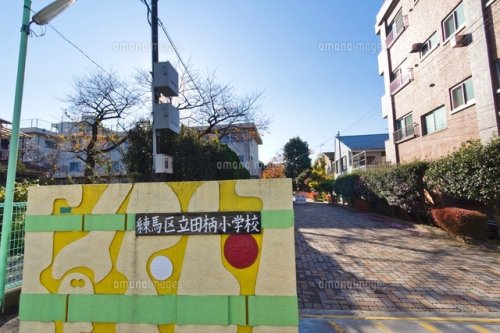 小学校　練馬区立田柄小学校（小学校）まで469m