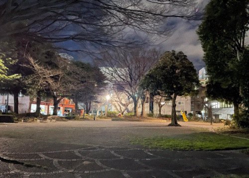 公園　滝ノ川公園（公園）まで210m