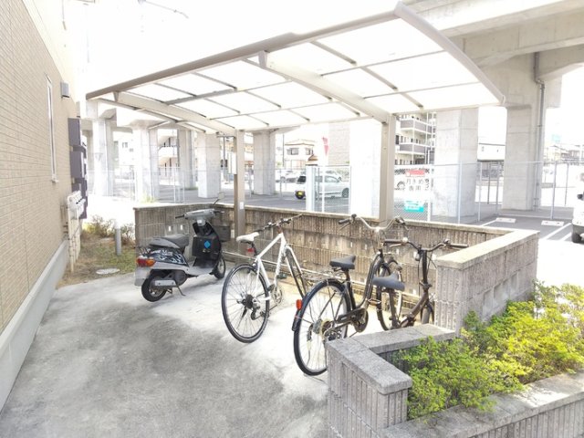 クリプトメリアの外観写真