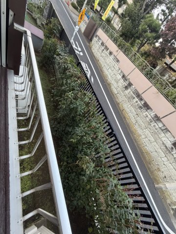 庭