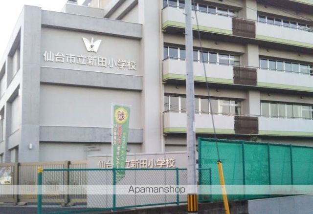 小学校　仙台市立新田小学校（小学校）まで331m