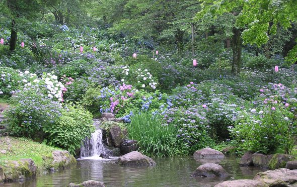 【セシール今成Bの公園】