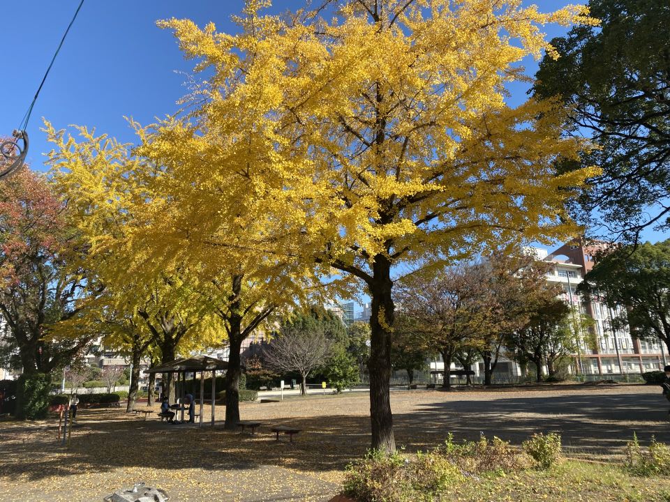 【アメニティ薬師の公園】