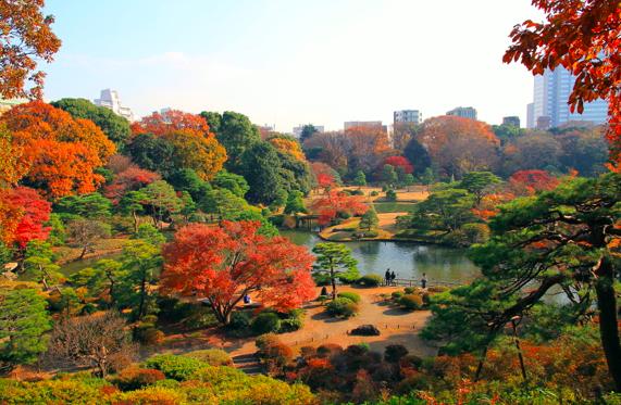 【豊島区巣鴨のマンションの公園】