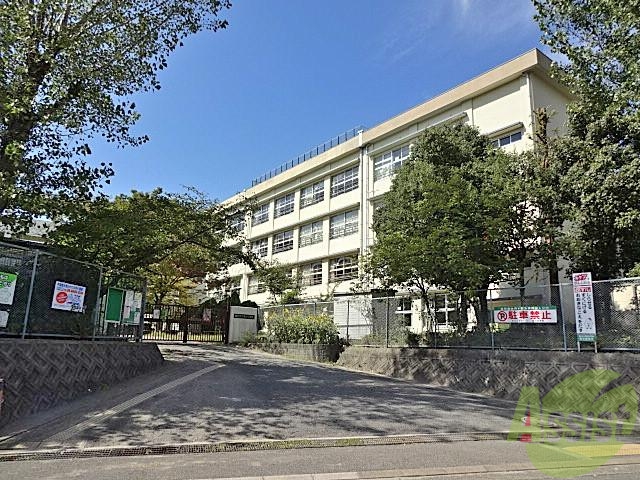 小学校　泉丘小学校（小学校）まで700m
