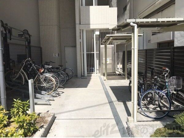庭