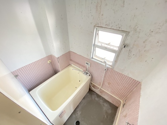 バス・シャワールーム　※別部屋の写真です