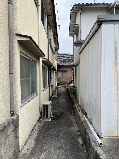 庭