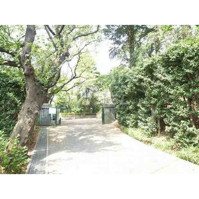 中学校　川口市立芝中学校（中学校）まで689m
