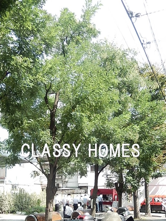 公園　金杉濱町緑地（公園）まで544m