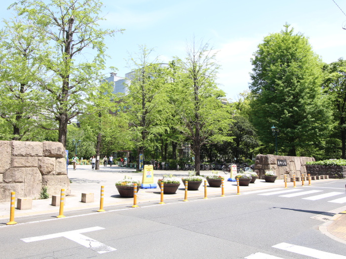 公園　浜町公園（公園）まで1550m