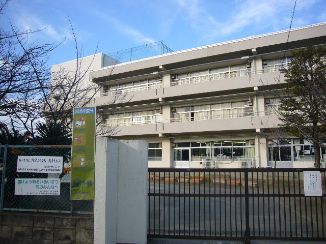 小学校　市川市立南行徳小学校（小学校）まで234m
