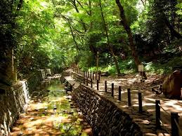 公園　等々力渓谷公園（公園）まで707m